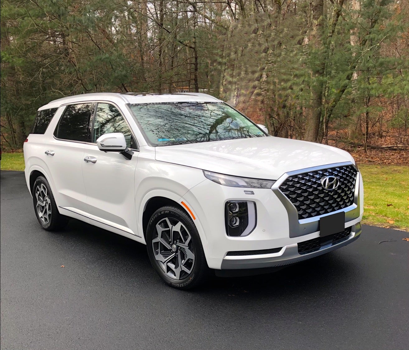 New 2021 Palisade Calligraphy in Hyper White Hyundai Palisade Forum